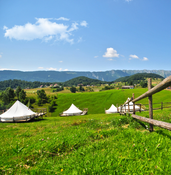 Glamping under the Carpathian Sky