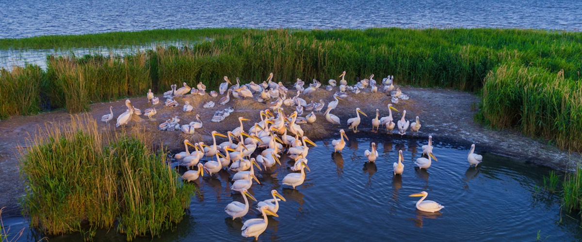 Danube Delta Tours