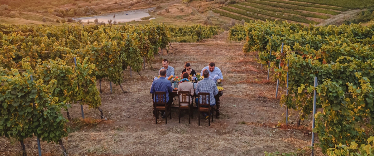 The wines of Dealu Mare - day trip