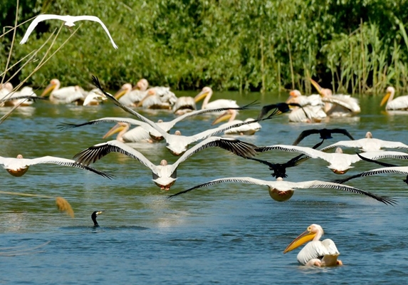 Paradise du Delta du Danube