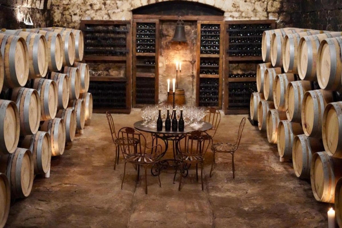 Famous vineyards tour