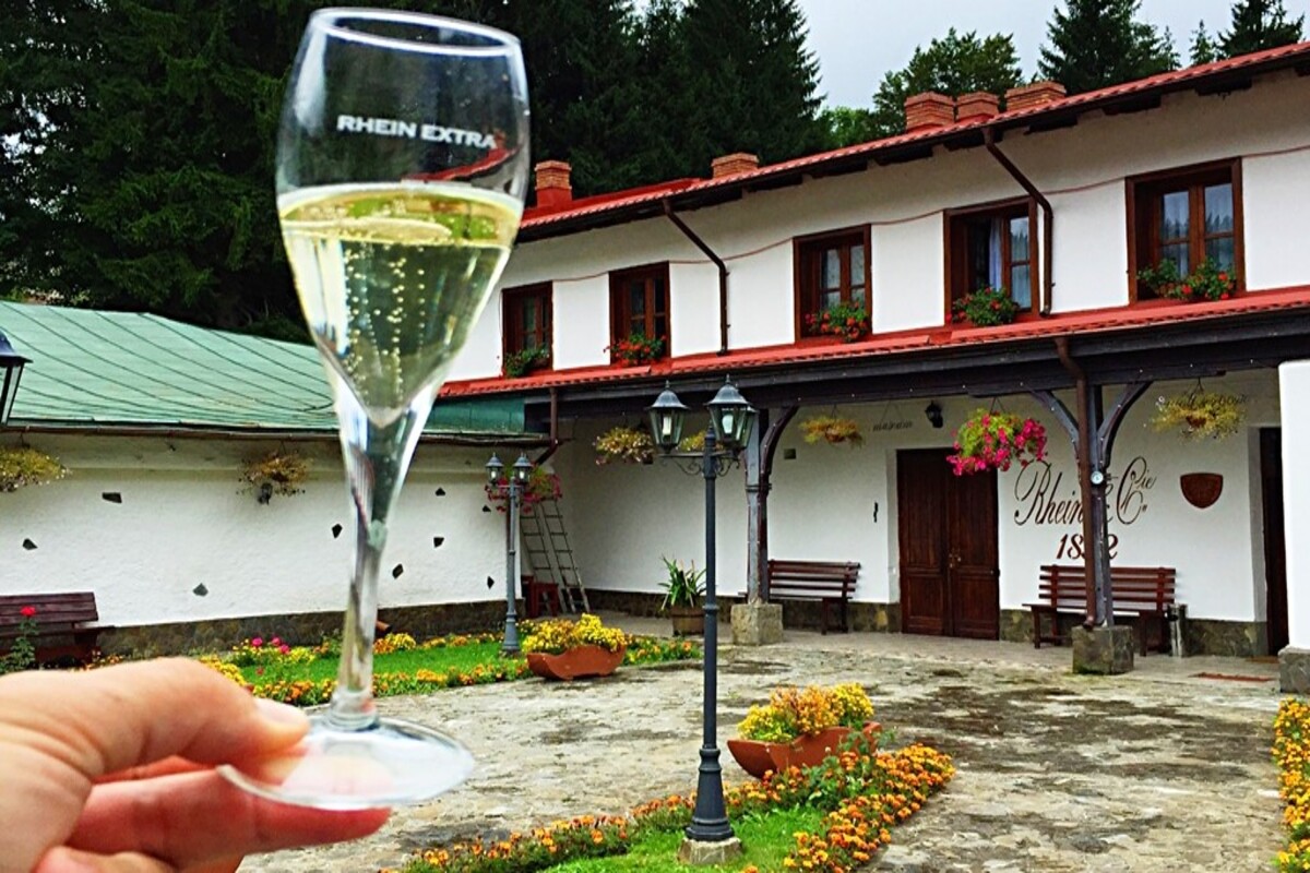 Winetasting & the Royal Peles Castle - day trip